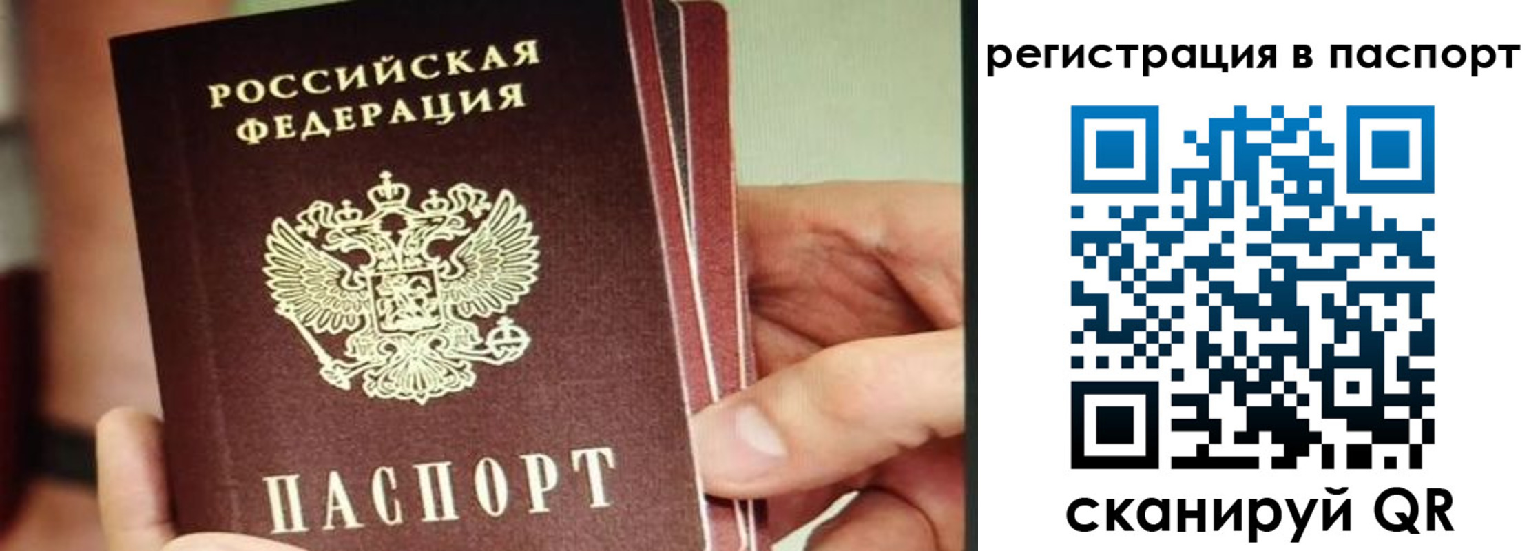 временная регистрация надежно в Ярославской области